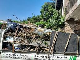 Best Retail Junk Removal  in Dewitt, IA